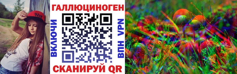 Псилоцибиновые грибы Cubensis  Купить где  Жуковский 