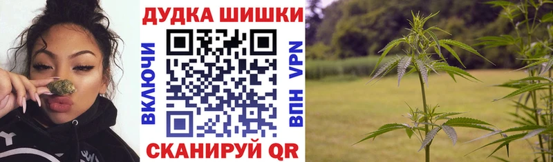Купить где  Жуковский  Шишки марихуана планчик 